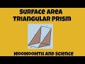 Surface Area and Volume Concepts