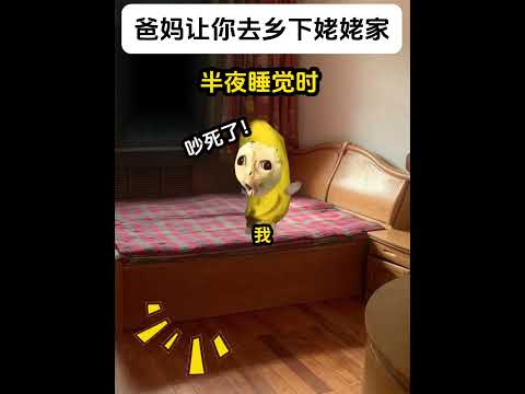 猫の動画サムネイル - 姥姥的潇洒快乐生活#有趣 #猫meme #猫meme剧场 #猫meme小剧场 #内容过于真实  #故事 #貓 #猫猫meme小剧场 #喵不可言