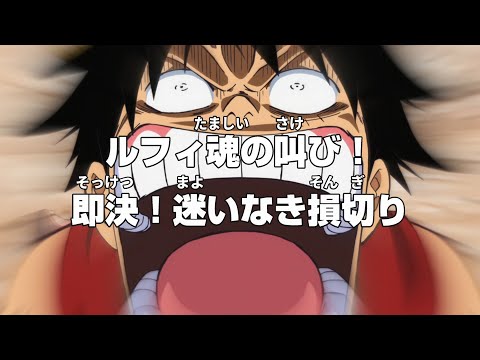 助けを求めるナミ　VS 〝見捨てる〟一択のルフィ