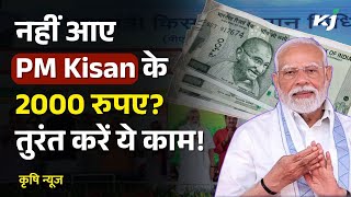 PM Kisan Yojana 20th Installment : आपके खाते में क्यों नहीं आया पैसा? जानें पूरी डिटेल | PM Modi