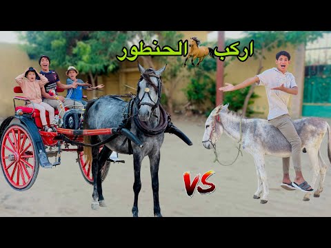 لما تشتغل انت واخوك الصغير علي حنطور في السياحة 🐎😂| علاء حسين