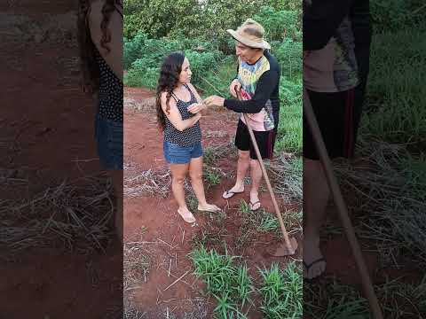 tirei o dinheiro da sogra 🤣 #humor #comedia