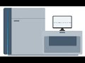 DNA Sequencing and Variant Analysis