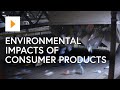 Environmental Awareness and Recycling Practices