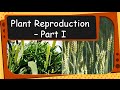 Plant Growth and Characteristics