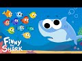 Shark and Fish Counting Concepts