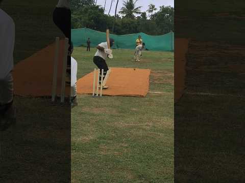 Cut Shot executed perfectly #shorts #cricket #viralvideo #trending