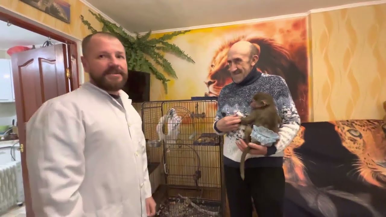 У Люськи ПОРТИТСЯ ХАРАКТЕР и она начала кусаться, доктор Василий приехал на плановый осмотр!