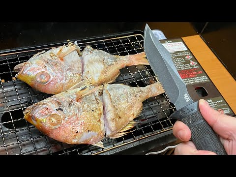 無人島サバイバルで３日ぶりに捕獲できた魚（という想定）を焚き火（？）で焼いて偶然海辺に打ち上げられていた瓶ビールをサメに食わせて（？）キメるだけの動画
