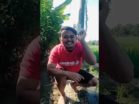 Kumpulan Video lucu Shorts Boni Saputra Terbaru Kocak Dan gokil Part 26