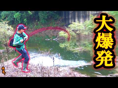 足下の木に落したら水面が大爆発した!!