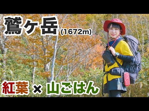 【女子登山】絶景！初心者おすすめ紅葉登山！鷲ヶ岳で地元の名物料理作ってみた【Nikon Zfc】