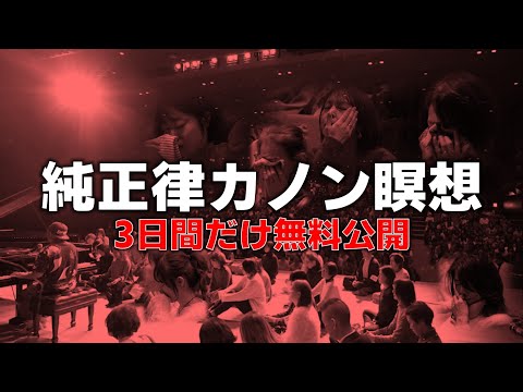 【スグ見て!】冬休み限定で、あの純正律カノン瞑想を無料で公開中!