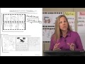 Vocabulary and Writing Skills Assessment