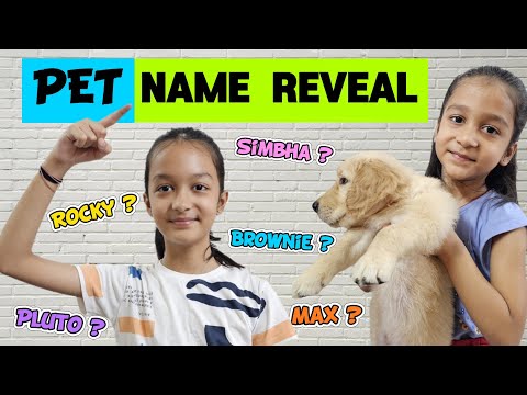 PET NAME REVEAL 🐶🐱🥰  |  Aayu Vanu Ka Pet | Pet Lover | Family Vlog | Aayu and Vanu
