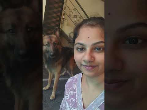 #dogshorts #love #gana🐶