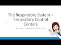 Respiratory System Regulation Concepts