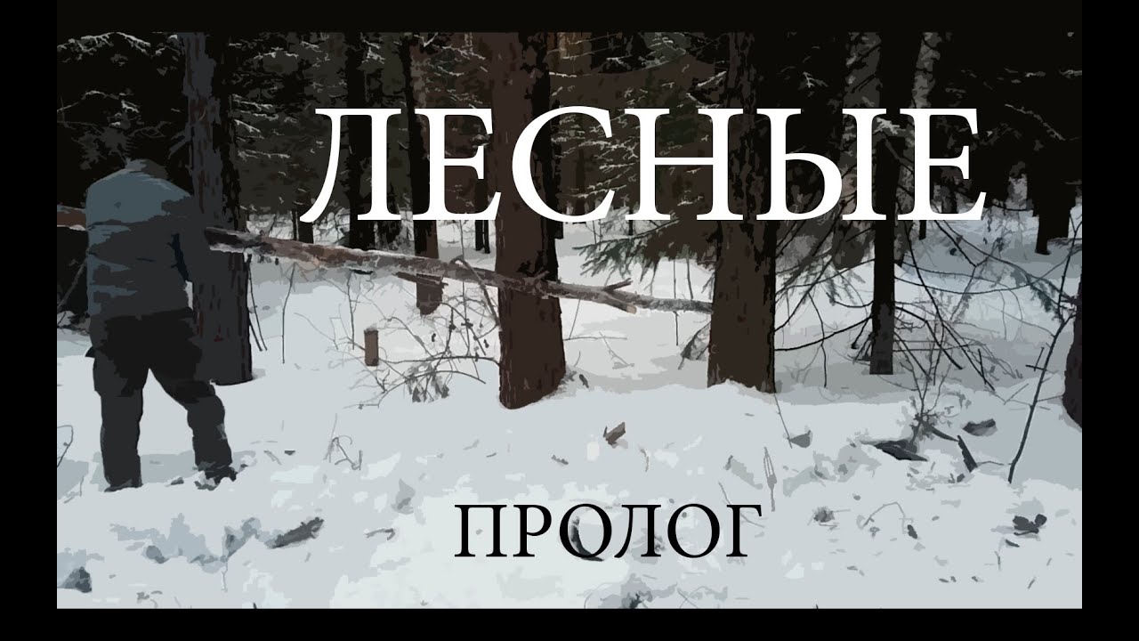 Merry christmas выход в зимний лес под новый год