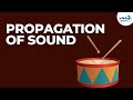 Understanding Vibrations and Sound