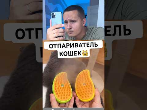 ПРОВЕРИЛ ОТПАРИВАТЕЛЬ ДЛЯ КОШКИ❌✅ #shorts