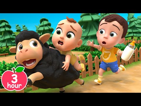 Baa Baa Black Sheep Song | Newborn Baby Songs & Nursery Rhymes