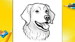 How To Draw A Dog - Golden Retriever-Step by Step