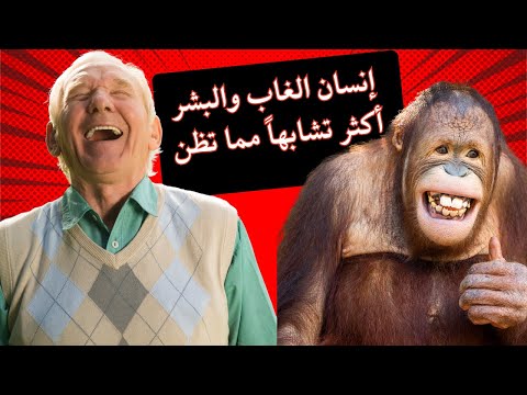 إنسان الغاب والبشر  أكثر تشابهاً مما تظن