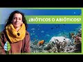 Factores Bióticos y Abióticos en un Ecosistema