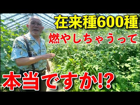 伝統野菜600種類を廃棄!? 10万人から電話来なければ燃やす件はどうなったのか山澤さんに聞いてみた。