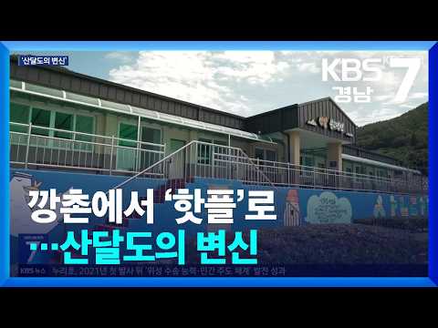 깡촌에서 ‘핫플’로…산달도의 변신 / KBS  2026.10.07.