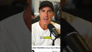 The Lie Your Dog Trainer Told You