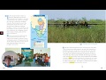 Exploring the Everglades Ecosystem