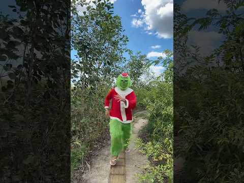 GRINCH CORREU ATRÁS DE MIM