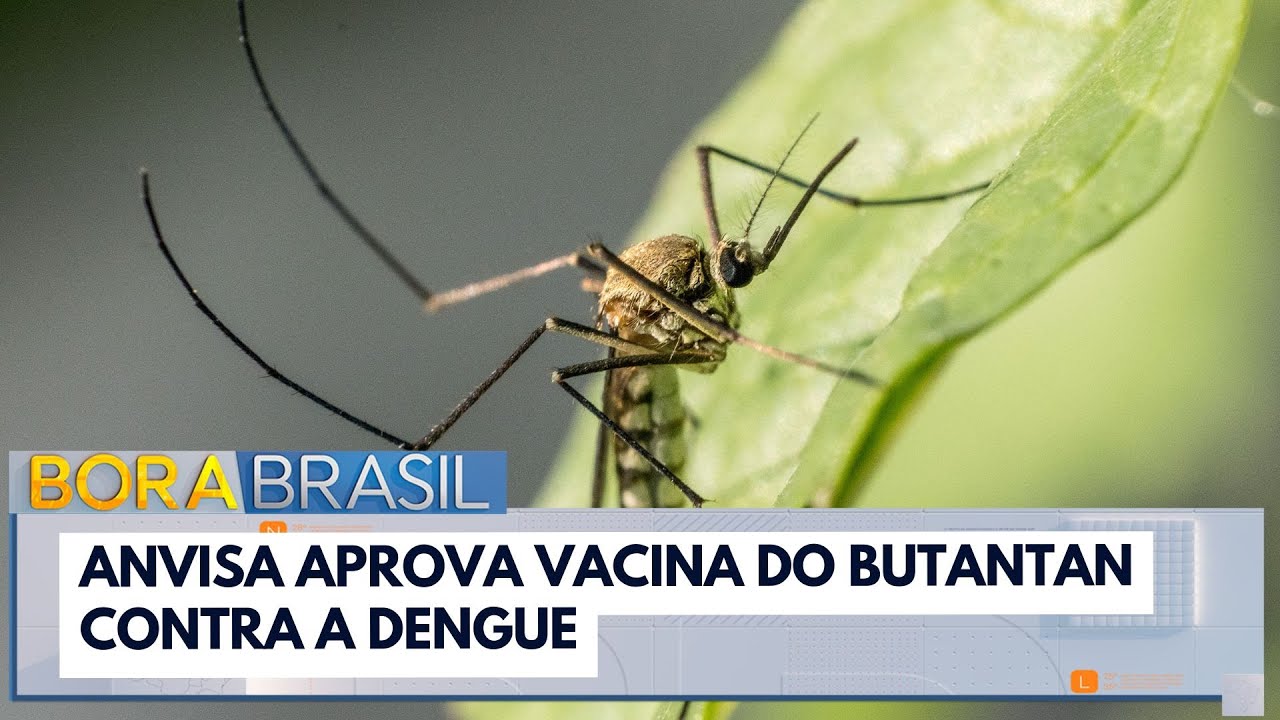 Anvisa aprova vacina do Butantan contra a dengue