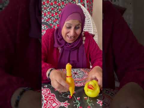 خناقه بين الكلب والبطه😂 #ابن_المنوفيه #حلم_منوفي #كوميدى #ام_المنوفي #شورتس_مع_خلوق