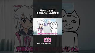 ガッツリすぎて逆に怖くない心霊写真