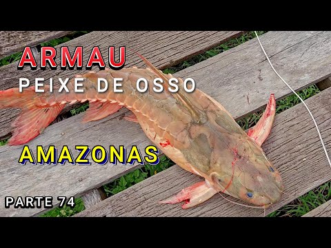 UM POUCO DE TUDO NA COMUNIDADE S/F DA MANGUEIRA - VÍDEO 74 - Amazonas