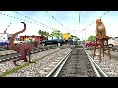 Level crossing vs stupid monkey funny video