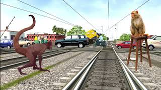 Level crossing vs stupid monkey funny video