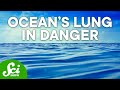 Labrador Sea and Its Role in Oceanic Circulation