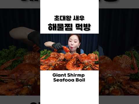 새우가 무려 40cm !🦐초대왕 킹타이거 새우 해물찜 먹방 ! Giant Prawn King Tiger Shrimp Seafood Boil Mukbang ASMR Ssoyoung