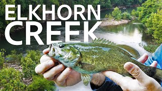 Summertime Kayak Fishing on Elkhorn Creek