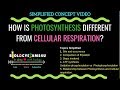 Photosynthesis and Cellular Respiration Concepts