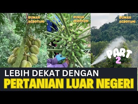 Lebih Dekat dengan Pertanian Modern di Luar Negeri Part 2 #kumpulanshorts