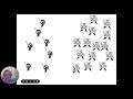 Exploring Pirates & Ninjas Concepts