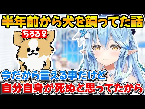 実は半年前から犬を飼っていて今まで言えなかった理由を話すラミィ【ホロライブ/雪花ラミィ/切り抜き】