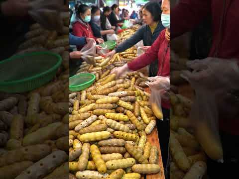 # fresh sea cucumber sold in market