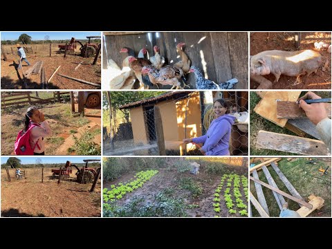 TROUXEMOS AS NOVAS GALINHAS DO QUINTAL| TERMINANDO DE DESMANCHAR O CURRAL VELHO FAZENDO PORTEIRA 🤠