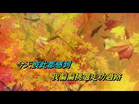 思行之路   徐小鳳〈原曲壓聲卡拉版〉