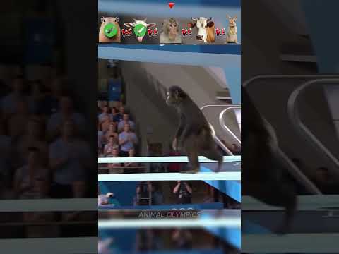 Capybara vs Sheep vs Monkey vs Cow vs Rabbit - Diving Challenge😮